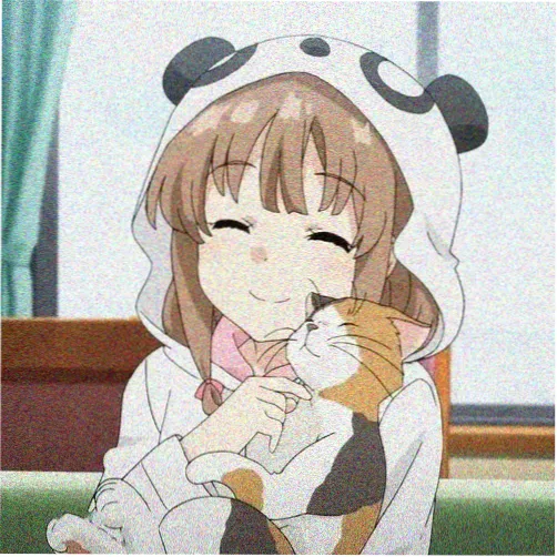 红茶影视编辑部主笔头像